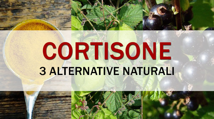 3 Alternative naturali al Cortisone