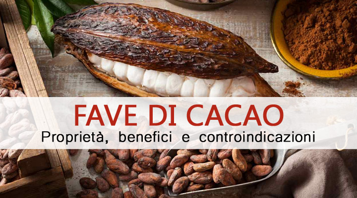 fave di cacao proprietà e benefici