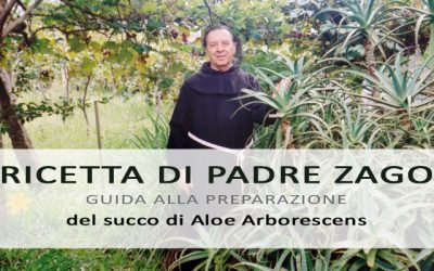 Come preparare la ricetta di Aloe di Padre Romano Zago