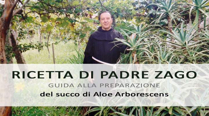 Come preparare la ricetta di Aloe di Padre Romano Zago