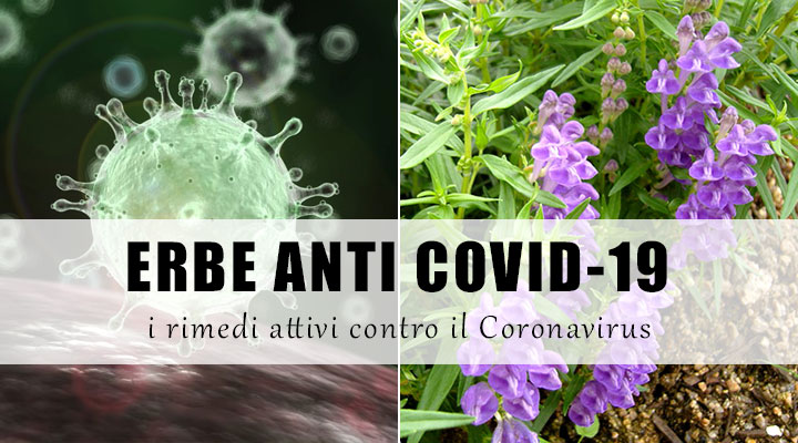 erbe antivirali coronavirus
