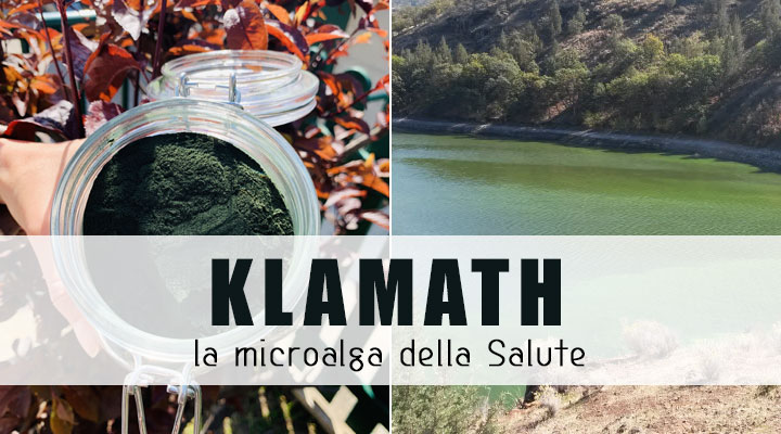 Klamath, la microalga della salute. Quale prodotto comprare e dove comprare