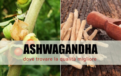 Ecco dove comprare il migliore integratore di Ashwagandha, senza additivi o conservanti aggiunti!
