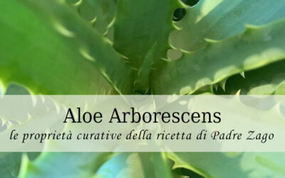 Aloe Arborescens, benefici del succo di Aloe di Padre Romano Zago