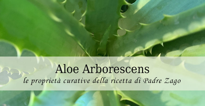 Aloe Arborescens, benefici del succo di Aloe Padre Romano